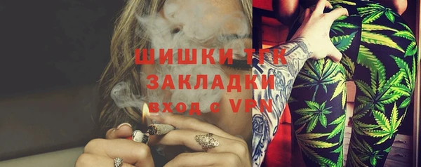 гидра Воткинск