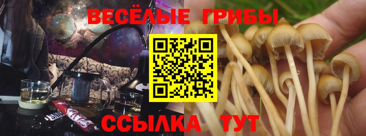Галлюциногенные грибы MAGIC MUSHROOMS Печора