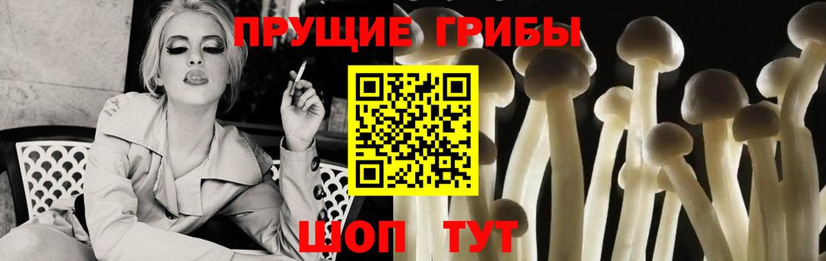 Печора  Галлюциногенные грибы Cubensis  Вход с VPN 