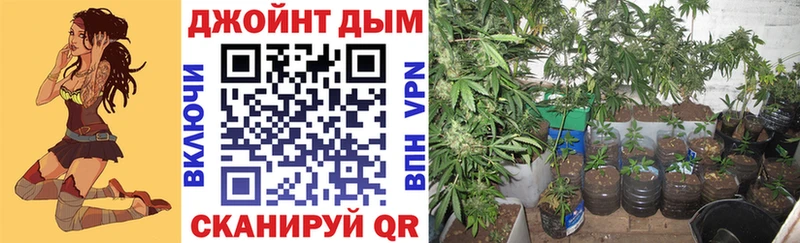 Марихуана план  MEGA сайт  Печора 